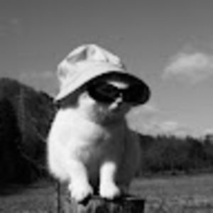 Meet your Posher, Yay just an average girlie